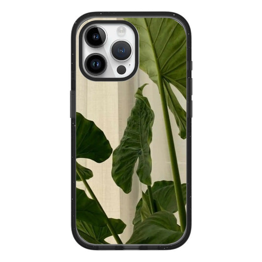 Phone Case [11279]