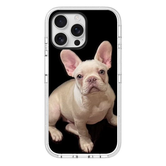 Phone Case [13074]