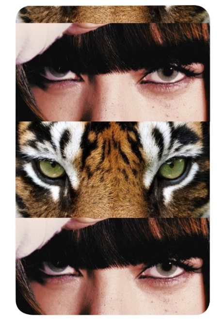 LISA eye portrait and tiger eyes vertical collage on matte Lomo photocards